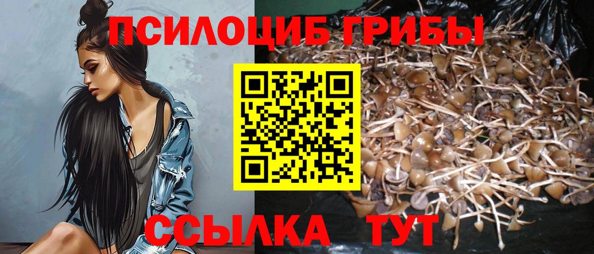 Галлюциногенные грибы мухоморы Костомукша