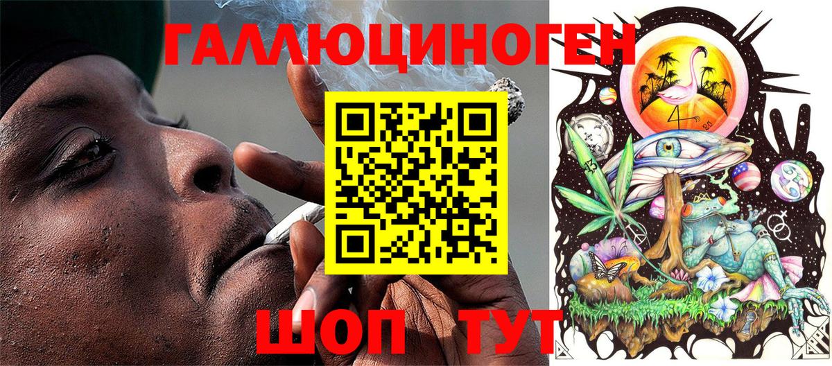 Псилоцибиновые грибы Psilocybe  Вход с VPN  Костомукша 